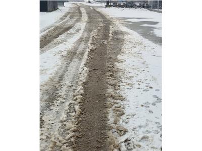 Teren 4859 mp , intravilan