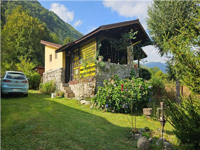 Casă de vacanță - Malaia, zonă deosebită!