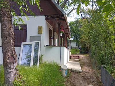 Proprietate de vanzare in Golești - 10800 mp teren și două case, ideală pentru casă de vacanță