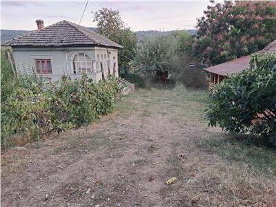 Casă cu teren 1.149 mp, vie și pomi fructiferi - Nicolae Bălcescu