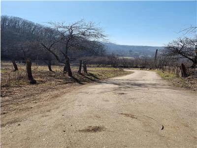 trei parcele de teren in zona Daesti