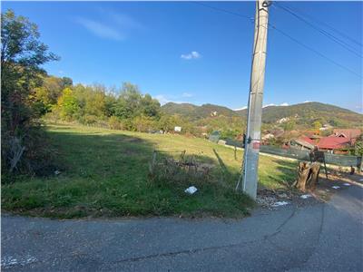 teren 1821mp, Ocnele Mari