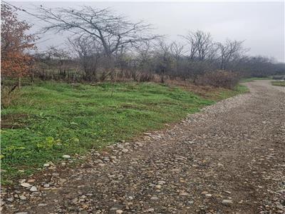 teren 2218mp, Raureni