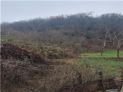 teren 2737 mp, Budesti