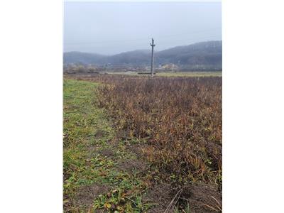 Teren extravilan 1.160 mp in Budești